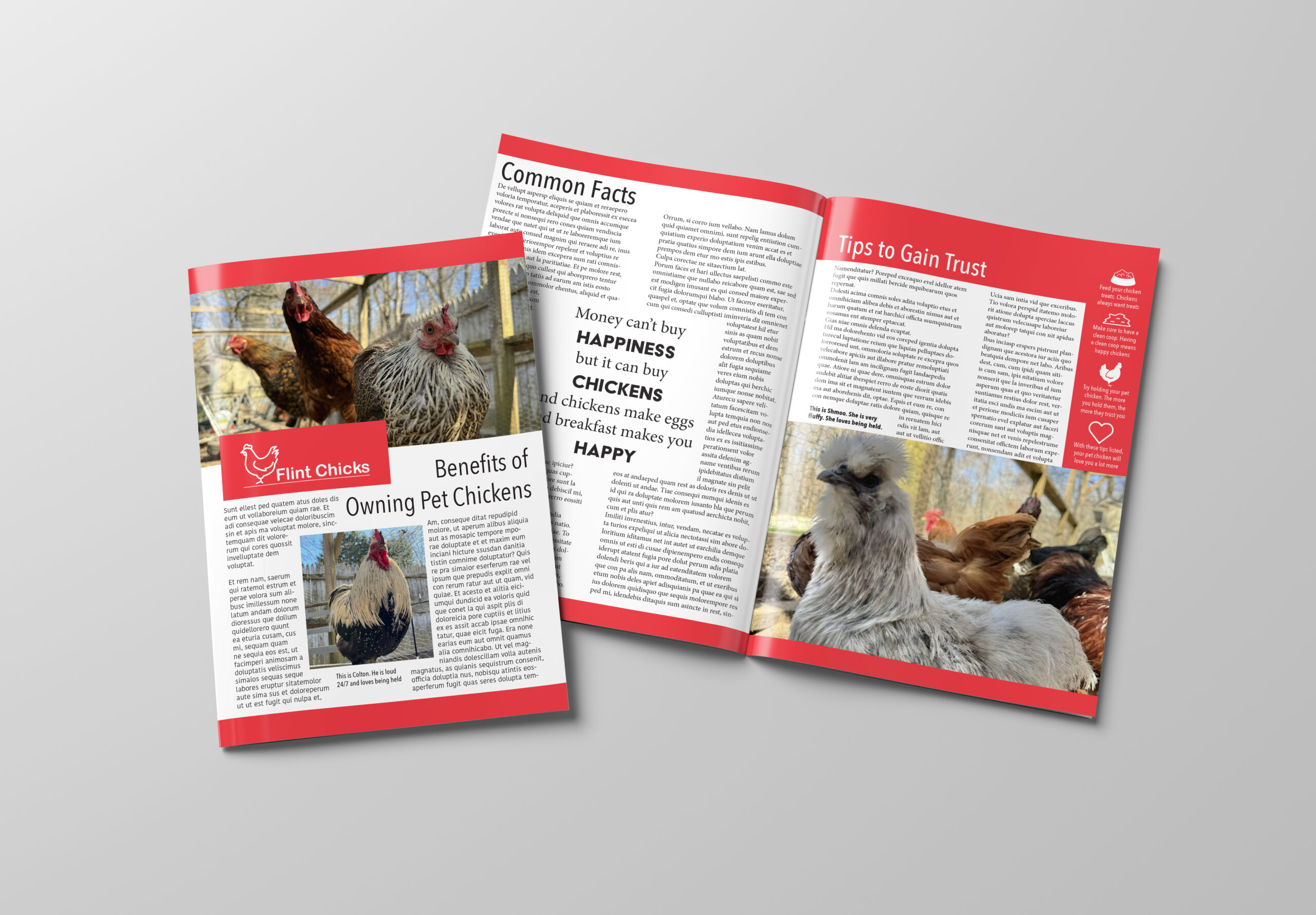 NEWSLETTER